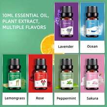 10Ml Essential Oil, Aromatic Essential Oils For Diffusers, Humidifiers, Candle Making, Soap Scent, Orange, Rosemary, Tea Tree Scent, Ideal For Home, Hotel, Restaurant - Black - View 8