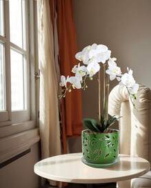 KF-Plant AccessoriesOrchid Pot With Holes, 5+6Inch Ceramic Plant Pots With Drainage Holes And Tray, Promoting Air Circulation And Drainage, Indoor/Outdoor White Flower Potsplant Garden - 綠色-1 - 查看 2