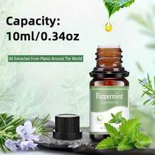 10Ml Essential Oil, Aromatic Essential Oils For Diffusers, Humidifiers, Candle Making, Soap Scent, Orange, Rosemary, Tea Tree Scent, Ideal For Home, Hotel, Restaurant - Black - View 7