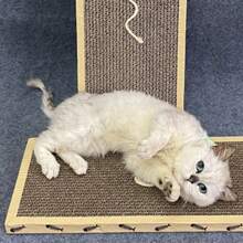 1 件剑麻猫抓板，瓦楞纸板猫抓板玩具，大号老鼠和鱼形带边缘，耐用防刮 - 彩色 - 查看 3