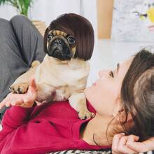 Funny Dog Cosplay Wig, Pet Wig - Adjustable Costume Pet Funny Headwear Costumes Headgear Small Medium Large Dog Wigs Dress Up Decorations Halloween, Parties, Festivals