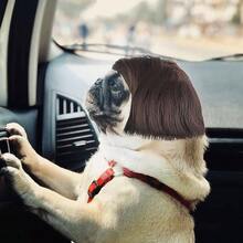 Funny Dog Cosplay Wig, Pet Wig - Adjustable Costume Pet Funny Headwear Costumes Headgear Small Medium Large Dog Wigs Dress Up Decorations Halloween, Parties, Festivals