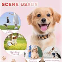 Almohadillas de entrenamiento para perros, pañales desechables súper absorbentes a prueba de fugas para mascotas, accesorios para mascotas, pañales higiénicos para perros hembra y macho, 10/12 unidades