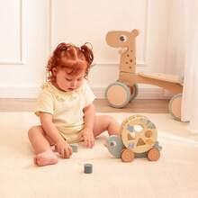 Jogo Passarinho Cloudy de Passear Brinquedo de Encaixar Peças Infantil Educativo Método Montessori Buba