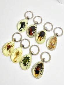 Glow-In-The-Dark Encapsulated Real Cicada, Crab, Spider, Scorpion Keychain. Symbolic Backpack Pendant, Water Drop Shaped Real Insect Specimen Desk Toy, Car Decor, Office Decoration, Wall Art, Versatile Keychain, Unique Artistic Gift - Multicolor - View 1