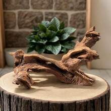 1 块大型浮木 25-30 厘米天然浮木珊瑚装饰，水族箱水景浮木 - 逼真的爬行动物和两栖动物栖息地，带攀爬树枝，乌龟筑巢平台，以及淡水或海水水族箱装饰，自然外观，耐用木材，随机发货的南美坦克装饰，盆景根，鹿角，干树枝 - 彩色 - 查看 10