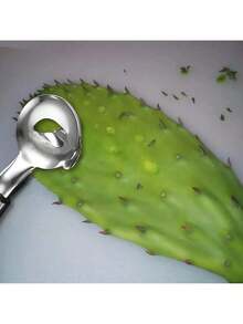 1 pieza Pelador de cactus tipo cuchara, de acero inoxidable, herramienta multifunción para pelar cactus, cortador de fideos chinos para utensilios de cocina - Plata-1 pieza - Ver 9