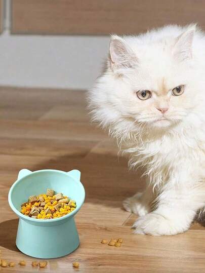 1pc Pet Bowls With Cute Designs NonSlip Pet Bowls For Messy Eaters Tilted Elevated Cat Food Bowl Cats Bowls Whisker Friendly Anti Vomiting Slanted Feeding Bowls Cute Shallow Tall Cat BowlGreen Cat Pet Bowls With Whisker Relief