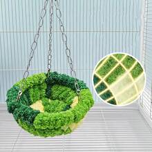 新款鹦鹉窝鸟窝睡窝森林风吊床鸟笼秋千保暖鸟窝