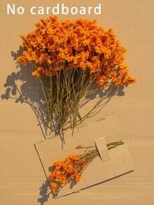 25/50/100/200/300 Stücke künstliche weiße Mini getrocknete Schleierkraut Blumen, Elfenbein Blumen Vase Füllung für Hochzeit, Zuhause, Büro, Party, Garten, Kartenherstellung, DIY Dekoration