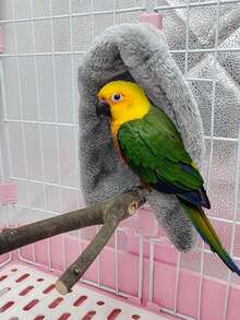 毛绒悬挂鹦鹉防风保暖棉窝帐篷，适用于孔雀、八哥、鹦鹉秋冬季避风保暖