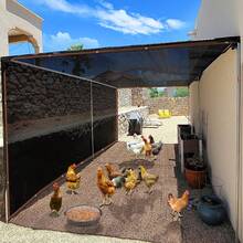 1pc Black Anti-UV HDPE Sunshade Net Garden Succulent Plant Shading Net Outdoor Sun Shade Net