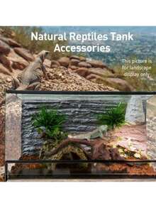 1 块大型浮木 25-30 厘米天然浮木珊瑚装饰，水族箱水景浮木 - 逼真的爬行动物和两栖动物栖息地，带攀爬树枝，乌龟筑巢平台，以及淡水或海水水族箱装饰，自然外观，耐用木材，随机发货的南美坦克装饰，盆景根，鹿角，干树枝 - 彩色 - 查看 11