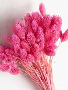 20/50/100pcs Gem Grass Dried Flowers, Assorted Colors, For Home Decor, Vase Decor, DIY Bouquets, Cake Decoration