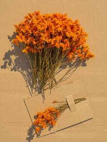 25/50/100/200/300 Stücke künstliche weiße Mini getrocknete Schleierkraut Blumen, Elfenbein Blumen Vase Füllung für Hochzeit, Zuhause, Büro, Party, Garten, Kartenherstellung, DIY Dekoration