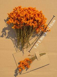 25/50/100/200/300 Stücke künstliche weiße Mini getrocknete Schleierkraut Blumen, Elfenbein Blumen Vase Füllung für Hochzeit, Zuhause, Büro, Party, Garten, Kartenherstellung, DIY Dekoration