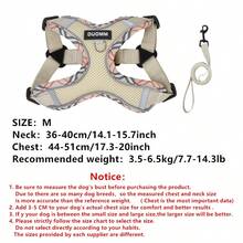 时尚印花狗背带和牵引绳套装，透气网眼，带反光细节，防逃脱，舒适，适合法国斗牛犬等中小型犬，耐用的户外探险散步装备，时尚散步必备宠物配件