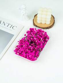 25/50/100/200/300 buc flori artificiale albe uscate, respirația bebelușului, umplutură pentru vaze cu flori fildeș pentru nuntă, casă, birou, petrecere, grădină, confecționare de felicitări, decor DIY