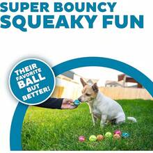 Outward Hound Squeaker Ballz 4-Pack Tennis Ball Dog Toys With Squeaker, Interactive Fetch Pets Under 50 Lbs, Training Balls Indoor & Outdoor Exercise, Medium, 2.5-Inch - Multi Squeaker Balls - 查看 2