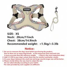 时尚印花狗背带和牵引绳套装，透气网眼，带反光细节，防逃脱，舒适，适合法国斗牛犬等中小型犬，耐用的户外探险散步装备，时尚散步必备宠物配件