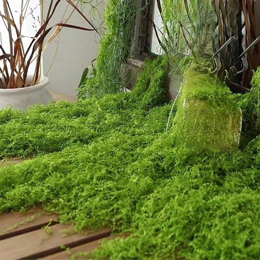 200/100/50g Artificial Moss Decoration - Realistic Greenery - Perfect For Micro Landscapes, Window Decor, And Design Layouts,Faux Moss Bionic Artificial Moss, Green Moss Micro Landscape Decor, DIY Green Plant For Lawn Potted Plant Paving Landscape Decoration, Outdoor Garden Yard Decor,Fake Plants ﻿
