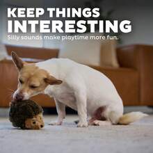 Outward Hound Small Polyester Plush Hedgehogz Dog Toy For All Breeds And Life Stages - 毛絨狗刺猬 - 查看 4