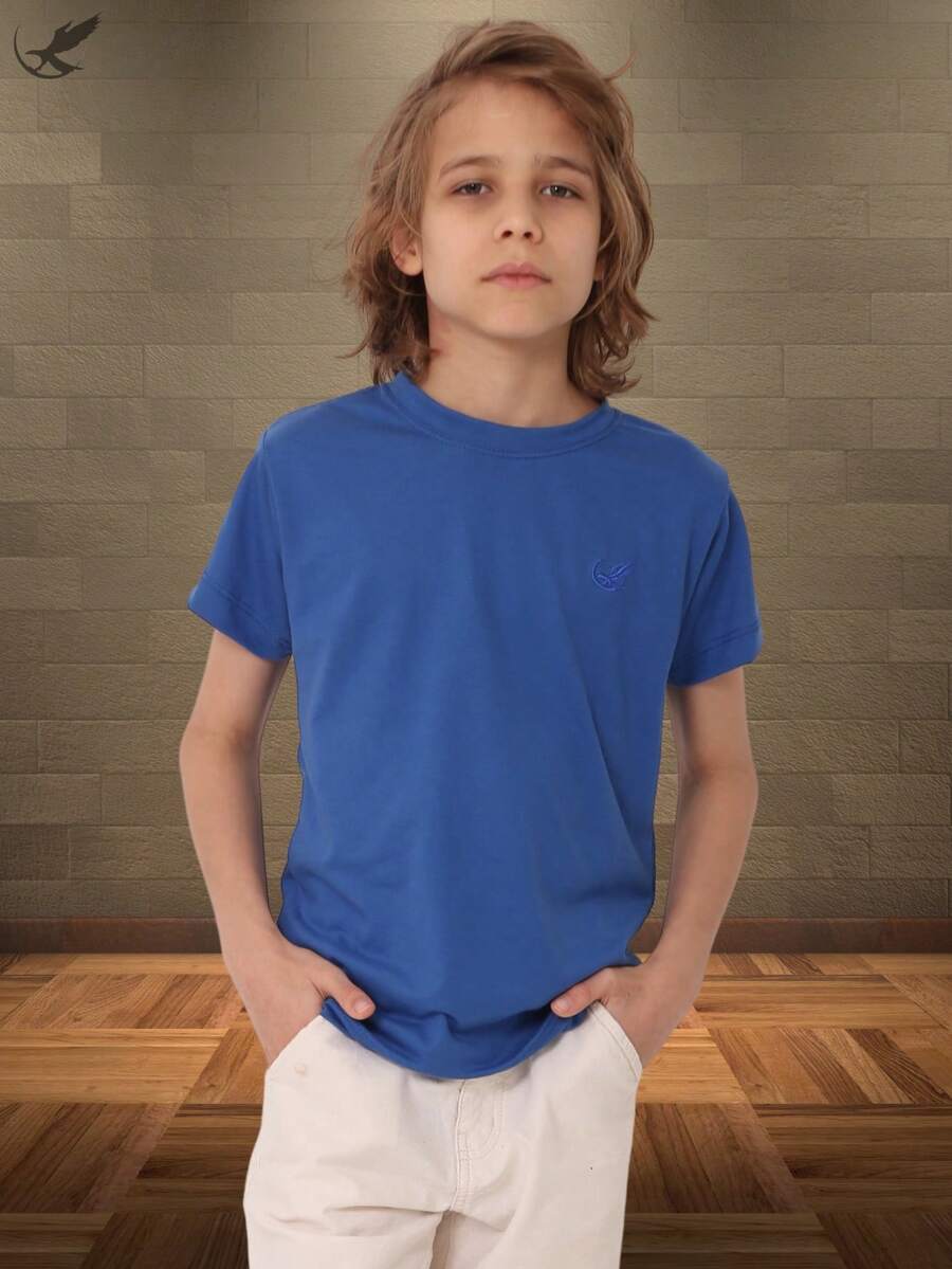 Camiseta Infantil Juvenil Menino 100% Algodão Premium Varias Cores Unissex