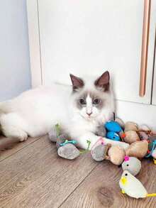 Cute Interactive Plush Cat Toy, Self-Entertainment & Boredom Relief, Interactive Fun And Exercise, Suitable For All Ages, Lightweight, Multiple Colors And Styles - Multicolor - View 5
