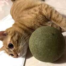 Giant Cat Catnip Ball, Jumbo Cat Catnip Toy | Indoor Licking Cat Chewing Toy Ball - Multicolor - View 3