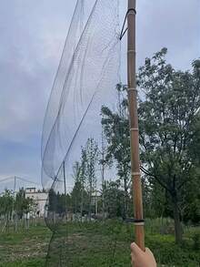 1片18毫米网眼塑料单丝鸟网，适用于家庭花园、农作物保护、池塘捕鱼、果树和花卉园艺，亦可作为害虫防治工具。 - 黑色 - 查看 4