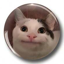 1 件 4.4 厘米/1.73 英寸图案安全别针徽章、纽扣徽章、胸针徽章，适合佩戴在衣服、包包、背包上，是送给家人和朋友的有趣礼物