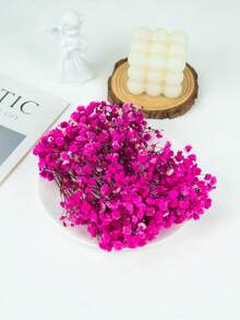 25/50/100/200/300 buc flori artificiale albe uscate, respirația bebelușului, umplutură pentru vaze cu flori fildeș pentru nuntă, casă, birou, petrecere, grădină, confecționare de felicitări, decor DIY