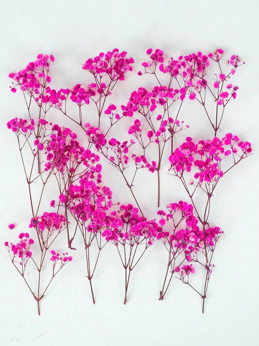 25/50/100/200/300 buc flori artificiale albe uscate, respirația bebelușului, umplutură pentru vaze cu flori fildeș pentru nuntă, casă, birou, petrecere, grădină, confecționare de felicitări, decor DIY