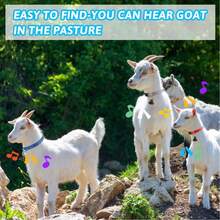 Conjunto de 5 coleiras de cabra com sinos, sino de vaca para pastoreio de ovelhas e cabras, conjunto de coleiras de nylon ajustáveis, sino de cobre alto anti-perda para animais de estimação, adequado para pequenos animais de fazenda, ovelhas, cabras e vacas