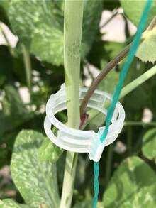 植物茎支撑,可重复使用的金属攀爬植物茎支撑桩,耐用的龟背竹稳定器抓钩支架,独特的攀爬植物设计,龟背竹夹套装,促进植物蓬勃发展的理想植物支撑 - 多色 - 查看 20