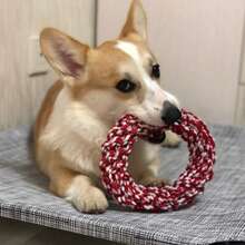 Strapazierfähiges Seil Hundespielzeug - Verdrehter Ringdesign für Zahnreinigung & Spielspaß, ideal für mittelgroße bis große Rassen, sortierte Farben, Hundespielzeug für aggressive Kauer