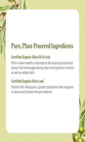 PURE SYNERGY SuperPure Olive Extract | Organic Olive Leaf, Oil, And Fruit Supplement With Polyphenols | For Heart, Brain, And Immune Health (60 Capsules) - 白色的 - 查看 5