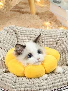 1件装柔软向日葵造型伊丽莎白圈，宠物适用 - 防舔防抓，猫狗通用，舒适头部配件 - 可调节，易于佩戴，防止舔舐和抓挠造成的伤害，宠物用品，猫咪用品