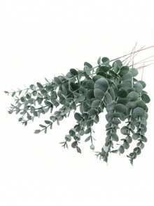 12 件逼真的人造桉树叶茎，绿色人造树枝，适用于花束、婚礼、家居和办公室装饰（不含花瓶）、情人节、礼物