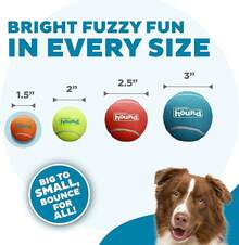 Outward Hound Squeaker Ballz 4-Pack Tennis Ball Dog Toys With Squeaker, Interactive Fetch Pets Under 50 Lbs, Training Balls Indoor & Outdoor Exercise, Medium, 2.5-Inch - Multi Squeaker Balls - 查看 3