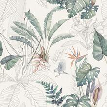 1 Roll Self-Adhesive Wallpaper,Tropical Palm Banana Leaf Pattern,Bohemian Style Plant Wallpaper, Waterproof, Removable, Peel And Paste Vinyl Contact Paper, Suitable For Home Decoration Renovation, Living Room, Dining Room, Bedroom, Wall Decoration, Tabletop, Cabinet, Niche Decoration Transformation, Can Be Cut, Easy To Install Sizes: 44cm/3/5/10m