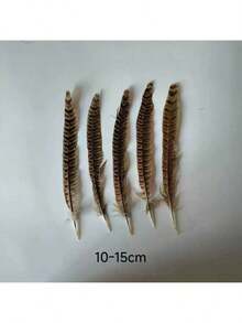 10 قطع من ريش ذيل الطاووس الطبيعي، بطول 20-25 سم، مناسبة للأعمال اليدوية والديكور المنزلي والزفاف والحفلات والأداء والزينة DIY، للنساء