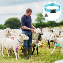 Conjunto de 5 coleiras de cabra com sinos, sino de vaca para pastoreio de ovelhas e cabras, conjunto de coleiras de nylon ajustáveis, sino de cobre alto anti-perda para animais de estimação, adequado para pequenos animais de fazenda, ovelhas, cabras e vacas