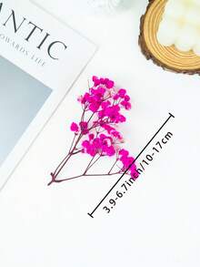 25/50/100/200/300 buc flori artificiale albe uscate, respirația bebelușului, umplutură pentru vaze cu flori fildeș pentru nuntă, casă, birou, petrecere, grădină, confecționare de felicitări, decor DIY