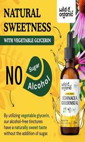 Wild &Amp; Organic Echinacea Goldenseal Liquid Drops - Immune Support Supplement W_Goldenseal Echinacea Root Extract - Vegan, Sugar &Amp; Alcohol-Free Tincture - 2 Fl Oz - Flavor NameA - 查看 6