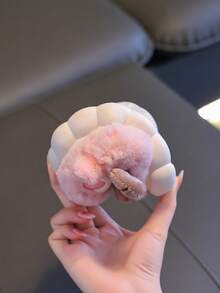 1 Pair Teen Cute Sheep Slippers, Teen's Indoor Slippers