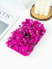 25/50/100/200/300 buc flori artificiale albe uscate, respirația bebelușului, umplutură pentru vaze cu flori fildeș pentru nuntă, casă, birou, petrecere, grădină, confecționare de felicitări, decor DIY