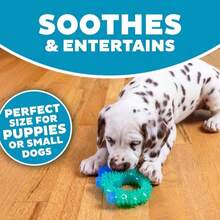 Outward Hound Cutie Chewies Hedgehog Dental Dog Chew Toy, Blue - ColorD - View 4