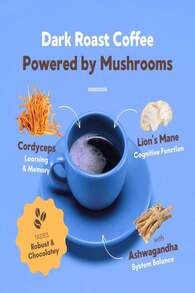 360 Nutrition Instant Mushroom Coffee With Chaga Superfood Mushroom And Prebiotics, Probiotics For Gut Health, And Focus Support | Dark Roast, No Added Sugar 5 Oz (Gut Blend) - Tên hương vịA - Xem 3