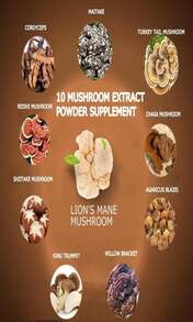 Suiyilary Mushroom Coffee, 10 Mushroom Extract Powder Blend Lion'S Mane, Reishi, Chaga, Cordyceps, Turkey Tail, Brain Supplements With Instant Coffee For Energy, Focus, Memory And Immunity 150g - Flavor NameC - 查看 2